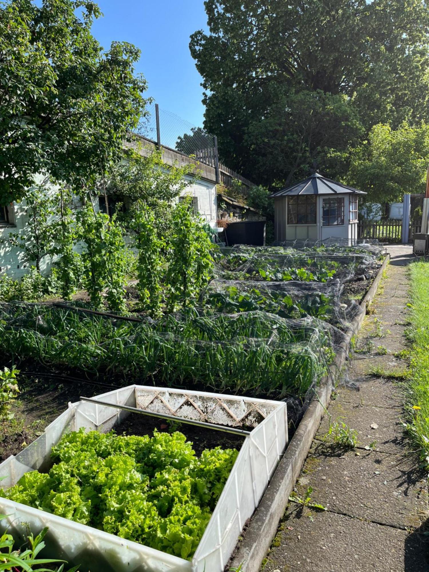 Ferienwohnung Auf Bauernhof Mit Hotpot Und Sauna Sumiswald Exterior photo